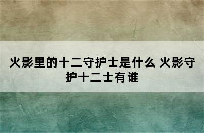 火影里的十二守护士是什么 火影守护十二士有谁